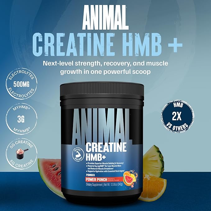 Animal Creatine HMB Powder – 3g myHMB + 5g Creatine with Electrolytes for Recovery &amp Daily Energy – Power Punch Flavor 30 Servings