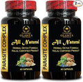 Parasite Complex - Natural Blend for Digestive Health &amp Balance - Complete Herbal Cleanse with Wormwood - GMP-Certified Natural Formula - 2 Bottles