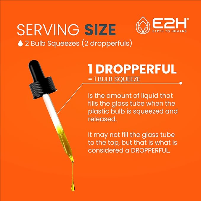 E2H Turmeric Curcumin Drops with Black Pepper - Boost Your Health - Joint Support Supplement - Vegan - Non-GMO - (2 Bottles)