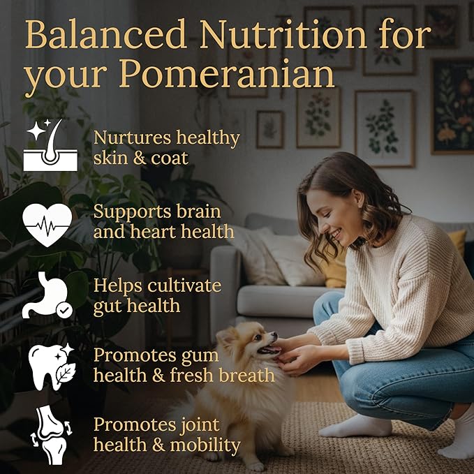 Multivitamins Balanced Nutrition for Your Pomeranian 90 Count Made in The USA with Real Bacon