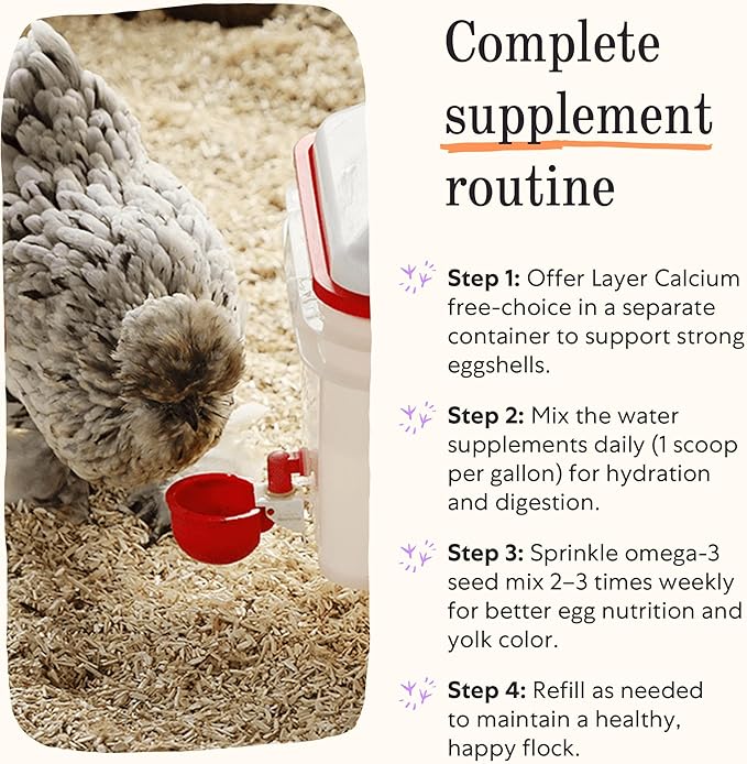 Grubbly Farms Supplements Bundle - Layer Calcium Probiotics+Prebiotics Vitamins+Electrolytes &amp Omega Mix - Complete Nutrition Support Strong Eggshells &amp Digestive Wellness for Laying Hens -