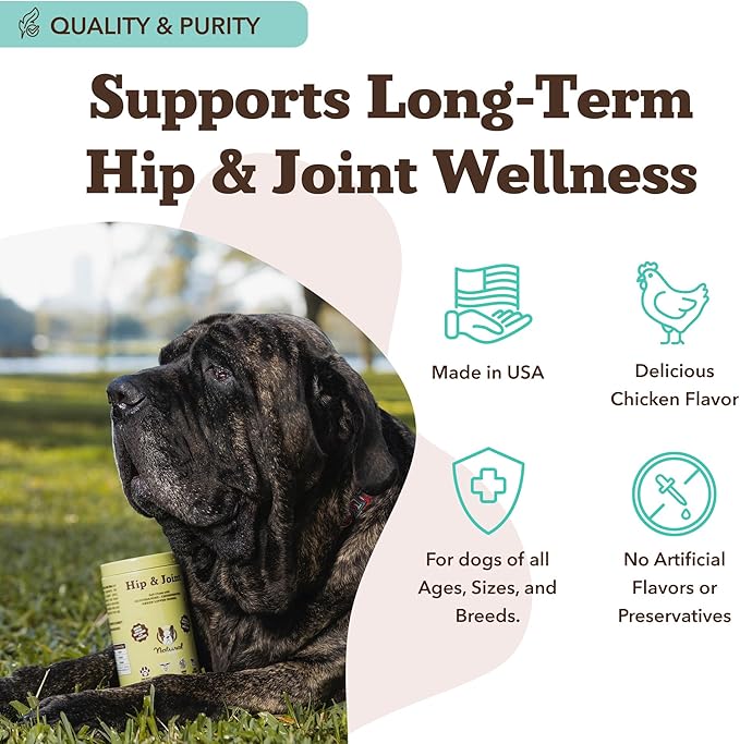 Natural Dog Company Hip &amp Joint Chews for Dogs with Glucosamine for Dogs + Chondroitin MSM &amp Turmeric Supports Mobility &amp Reduces Discomfort Stiffness Natural Pain Relief Joint Supplem