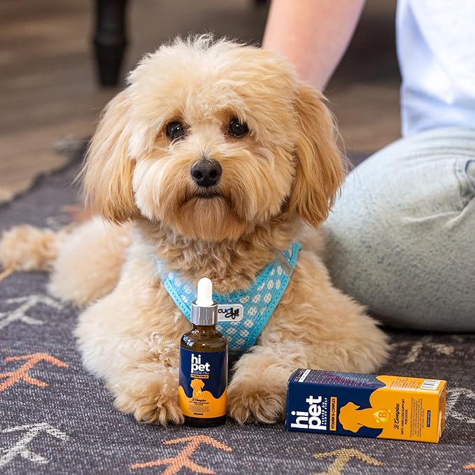 Vitamin B Complex for Dogs Supports Metabolism and Increases Energy Levels 1.7 Fl Oz (Pack of 1)
