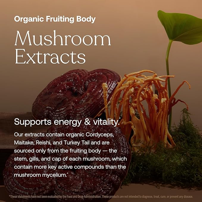 True Grace One Daily Women’s Multivitamin Fermented Minerals Organic Adaptogens &amp Mushrooms Whole Body Balance Immune Energy Beauty Support - Non-GMO Gluten Free Soy Free - 90 Vegan Tablets