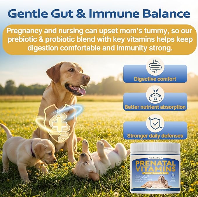Dog Prenatal Vitamins - Supports Pregnancy Wellness Puppy Growth &amp Lactation and Recovery | Riched Essential Nutrients - DHA Folic AcidIron Calcium | Advanced Multivitamin for Pregnant and Nur