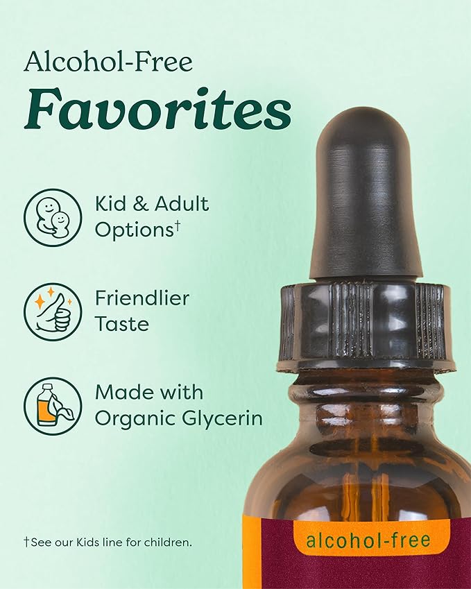 Herb Pharm Certified Organic Skullcap Liquid Extract for Nervous System Support Alcohol Free Glycerite 4 Ounce