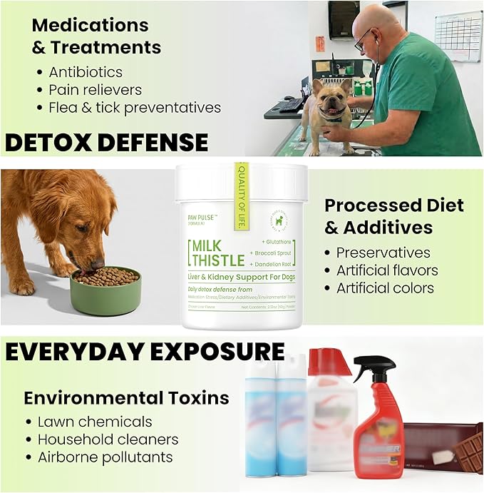 Pawpulse Formula Milk Thistle for Dogs – Liver &amp Kidney Support Powder with Silymarin &amp Glutathione – Daily Detox Antioxidant &amp Metabolic Natural Support 2.12 oz