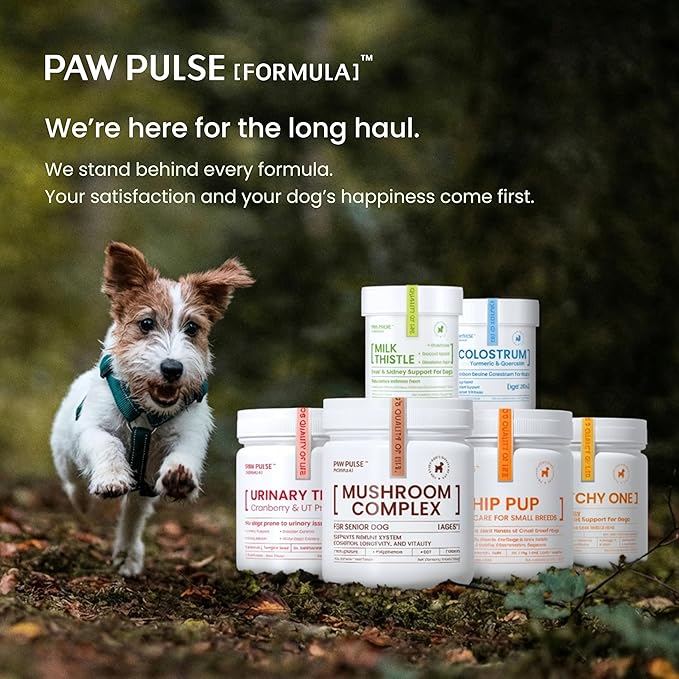Pawpulse Formula Milk Thistle for Dogs – Liver &amp Kidney Support Powder with Silymarin &amp Glutathione – Daily Detox Antioxidant &amp Metabolic Natural Support 2.12 oz