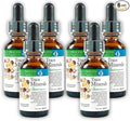 Morter Trace Minerals in Colloidal Suspension (6 Pack) Morter HealthSystem Best Process Alkaline — Nutrient Dense Trace Elements Fulvic Minerals &amp Amino Acids