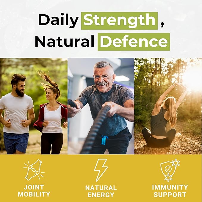 Total Mobility &amp Immune Shield – Natural Support for Joints Muscles and Immune Health | Vegan UK Made Supplement Duo | Ginger Moringa Turmeric Maca | 2-Pack