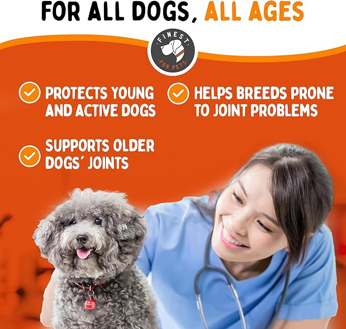 Liquid Glucosamine for Dogs with Chondroitin MSM &amp Hyaluronic Acid (32oz). Hip &amp Joint Supplement Supports Better Mobility &amp Promotes New Cartilage. Eases Joint Stiffness. Rejenease Made