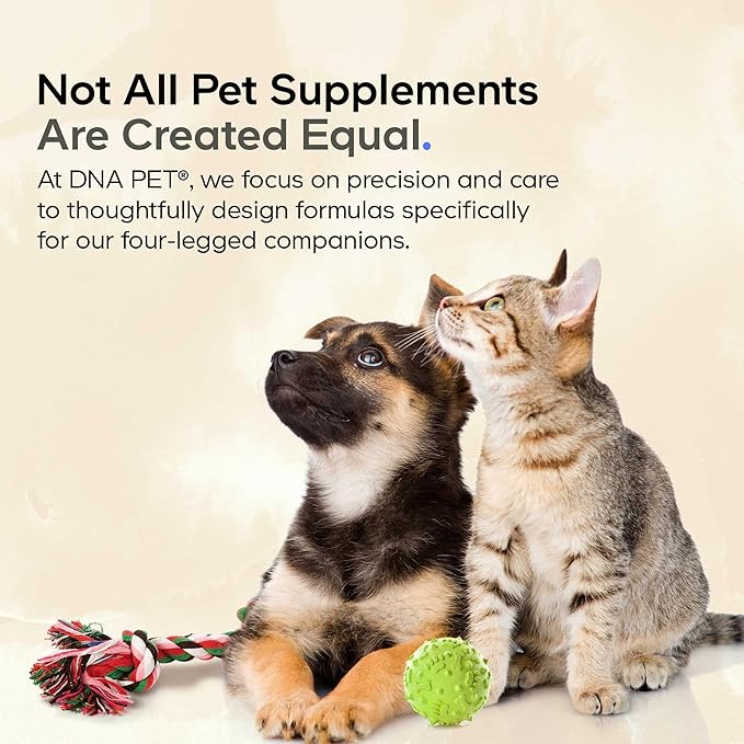 Wild Alaskan Salmon Oil for Dogs - EPA DHA Omega 3 &amp 6 Fatty Acids for Pets - Liquid Fish Oil Supplement for Dogs - All Breeds - 8 fl oz