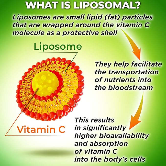 Immune Support Bundle - Quercetin with Bromelain Vitamin C &amp Zinc + Liposomal Vitamin C 1100mg – with Organic Whole Food Blend &amp Acerola Cherry – Antioxidant Respiratory &amp Cardiovascular