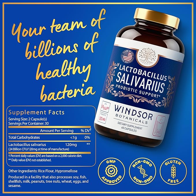 WINDSOR BOTANICALS Lactobacillus Salivarius Probiotic Capsules - L Salivarius Probiotic Oral Dental Probiotics for Bad Breath Teeth and Gums Health and Immune Support - 24bn CFU 2-Pack 120 Caps