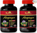 ADAPTOGEN Supplement - Schisandra Fruit Amla Fruit Panax Ginseng Rhodiola rosea Astragalus Root Eleutherococcus senticosus Holy Basil Leaf Maca Adaptogen Blend Natural 2Bot