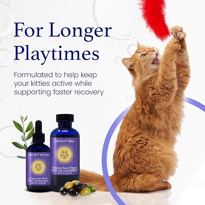 C60 Evo Cat Lover Set 2 Bottles of Pure ESS60 in Extra Virgin Olive Oil 1 for Humans and 1 for Felines Cat Supplements Infused with Natural Salmon Essence Must-Have Pet Supplies and Cat Products