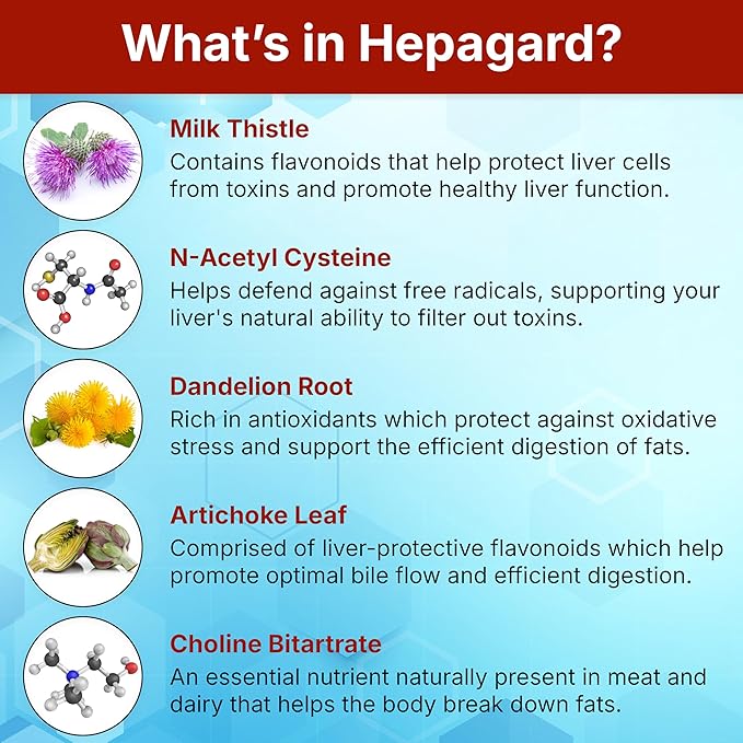 Hepagard - Natural Liver Support Supplement with N-Acetyl Cysteine (NAC) - Non-GMO Vegan Gluten-Free