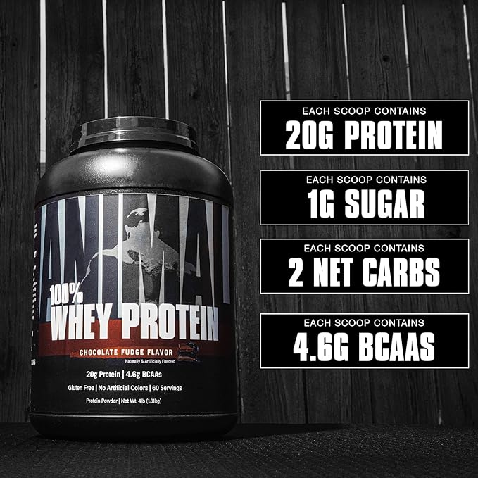 Animal 100% Whey Protein Powder – Whey Blend for Pre- or Post-Workout &amp Pak - Convenient All-in-One Vitamin &amp Supplement Pack