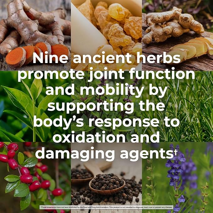 Nature's Lab Gold Whole Body Herbal Complex - Turmeric Boswellia Ginger Green Tea Rosemary - 120 Capsules (60 Day Supply)