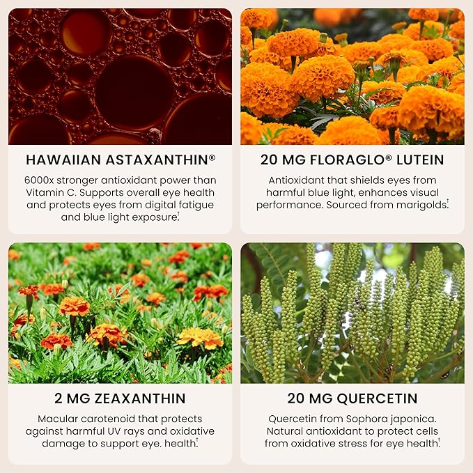EyeAstin BioAstin Hawaiian Astaxanthin with Lutein &amp Zeaxanthin Supports Eye Health Naturally 60 Count