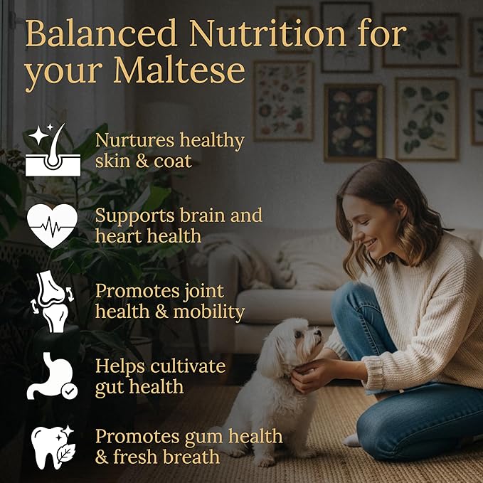 Multivitamins Balanced Nutrition for Your Maltese 90 Count Made in The USA with Real Bacon