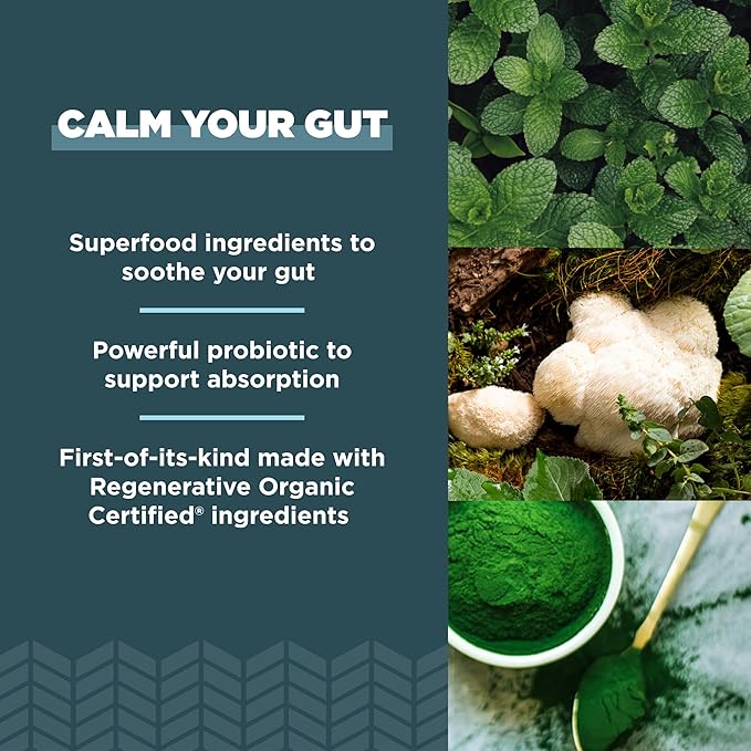 Ancient Nutrition Gut Health Supplement Regenerative Organic Certified Leaky Gut Capsules Formulated with Lion’s Mane Fermented Licorice Root and Spearmint Gluten Free Paleo and Keto Friendly 90