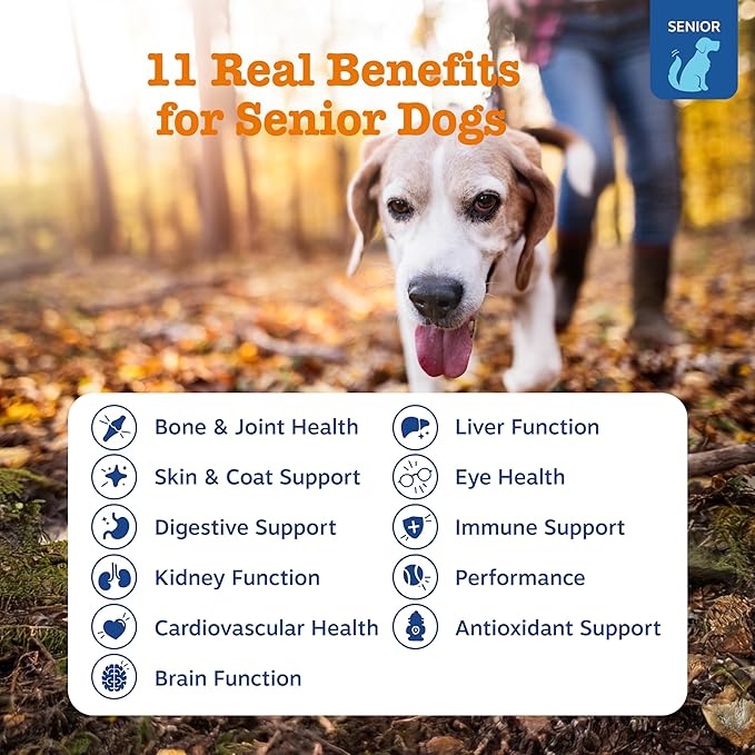 Zesty Paws Senior Dog Multivitamin Treats - Glucosamine for Dogs + Digestive Enzymes &amp Probiotics - Grain Free Dog Vitamins and Supplements for Skin &amp Coat + Immune Health Beef - Advanced - 90