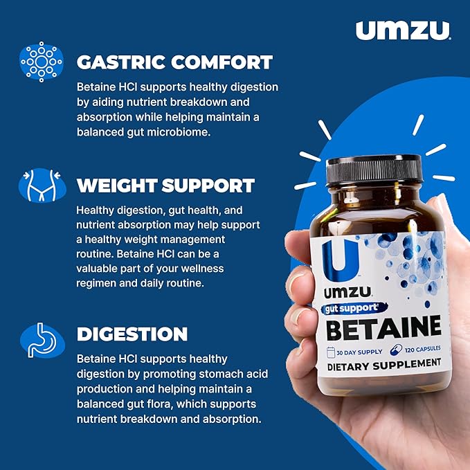 UMZU Betaine HCl Digestive Support Supplement (60 Day Supply) – with Betaine Hydrochloride Formula – Betaine HCl for Digestive Health &amp Gut Comfort Daily Digestive Wellness Support System Formula