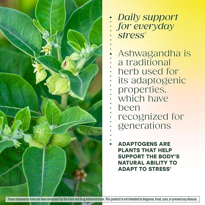 MegaFood Ashwagandha Complex (Formerly Stress Protect) - Ashwagandha Supplements Astragalus Root &amp Holy Basil - Vegetarian Gluten Free Cortisol Supplement - 60 Mini Tablets 30 Servings