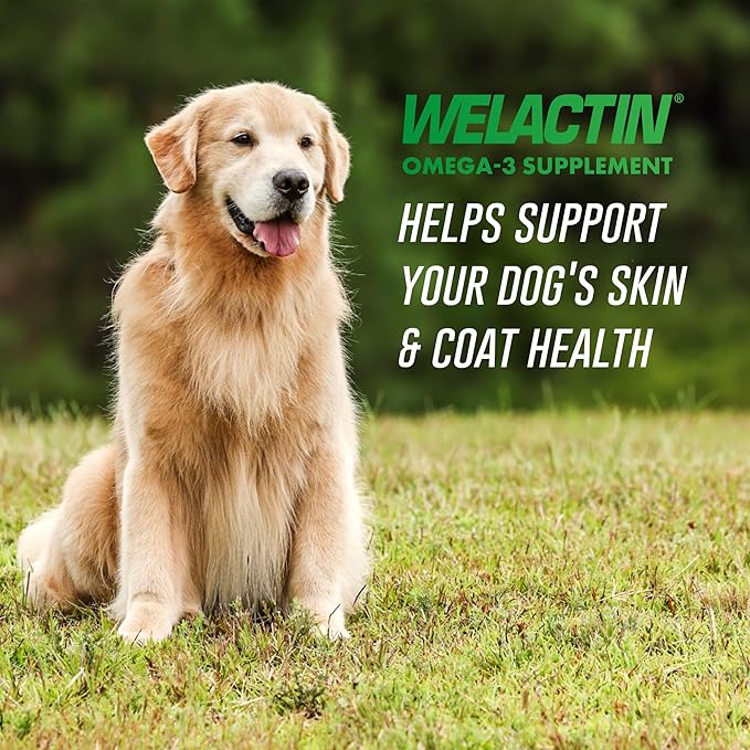 Nutramax Welactin Canine Softgels Omega 3 Supplement for Dogs Softgels 120 Count