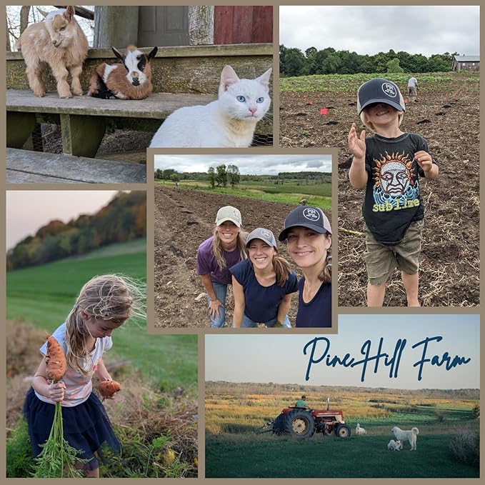 Vegetarian Collagen Peptides