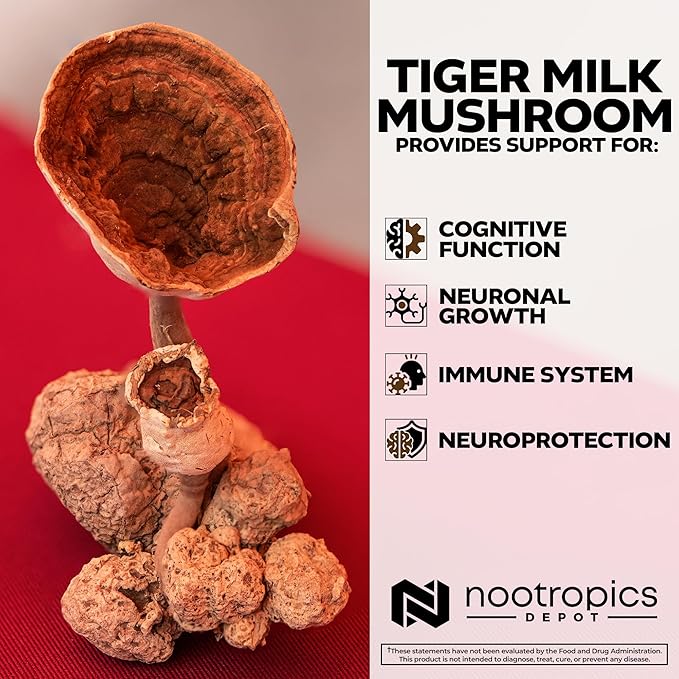 Nootropics Depot Tiger Milk Mushroom Capsules | 300mg | 60 Count | Lignosus rhinocerus Sclerotium | Cognition Histamine &amp Respiratory Support