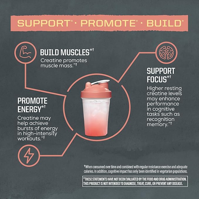 Creatine Monohydrate Powder Micronized PreWorkout Recovery Supplement | Support Muscle Building Strength Training Cognition | Vegan &amp Keto Friendly Easily Mixes Rainbow Sherbert Flavored Creatine