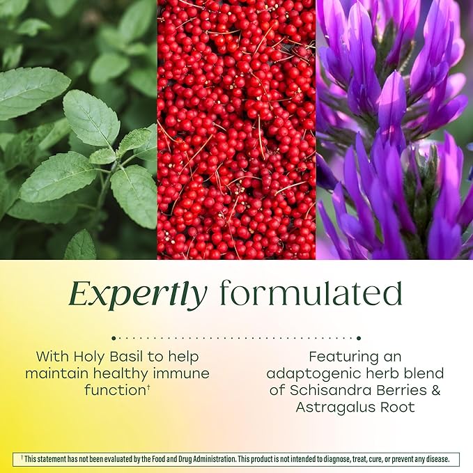 MegaFood Ashwagandha Complex (Formerly Stress Protect) - Ashwagandha Supplements Astragalus Root &amp Holy Basil - Vegetarian Gluten Free Cortisol Supplement - 60 Mini Tablets 30 Servings