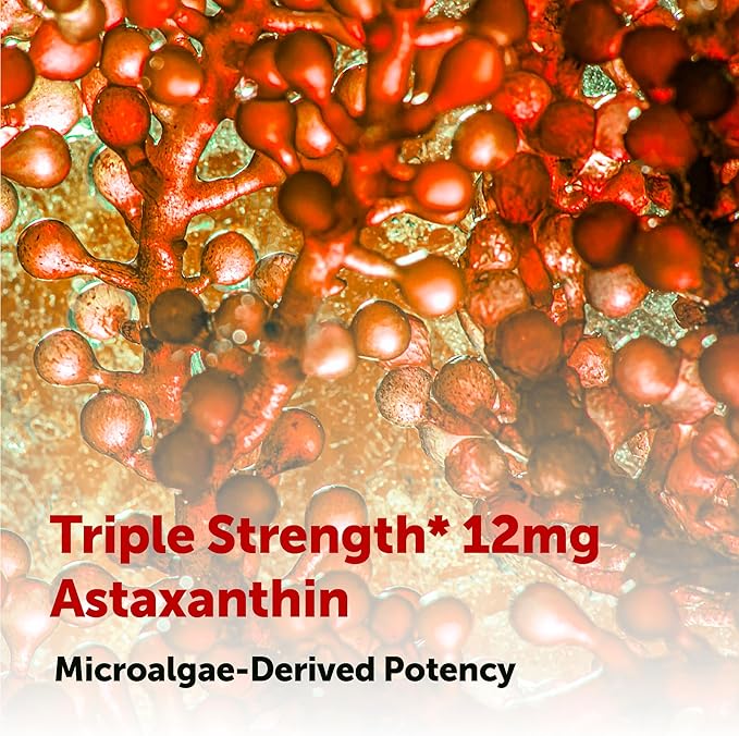 Micro Ingredients Astaxanthin 12mg with MCT Oil 120 Softgels 4 Month Supply | Premium Astaxanthin Antioxidant Supplements* | Fresh Microalgae Source | Triple Strength Non-GMO Gluten Free No Soy