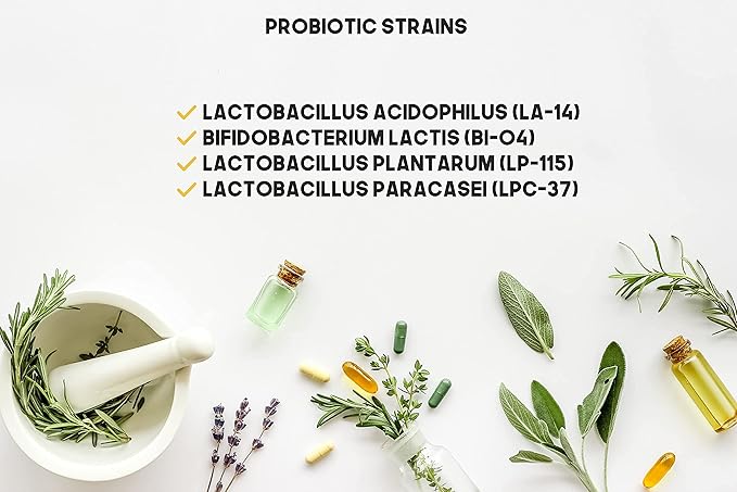 Probiotic Blend - 700CT Value Size Bottle of Multiple Strains of Key Bacteria Include Lactobacillus Acidophilus Bifidobacterium Lactis L. Plantarum L. Paracasei in a Clear Square Grip Jar
