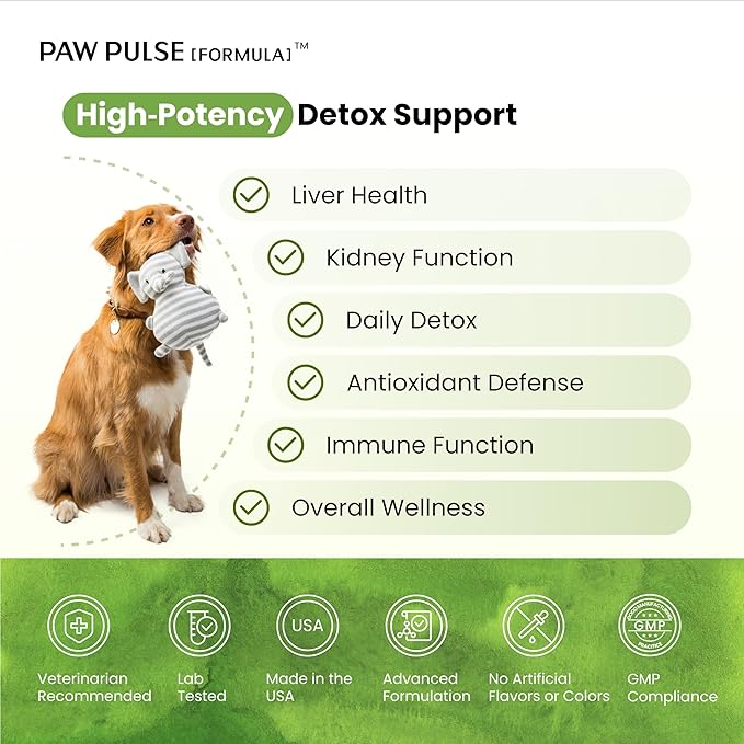 Pawpulse Formula Milk Thistle for Dogs – Liver &amp Kidney Support Powder with Silymarin &amp Glutathione – Daily Detox Antioxidant &amp Metabolic Natural Support 2.12 oz