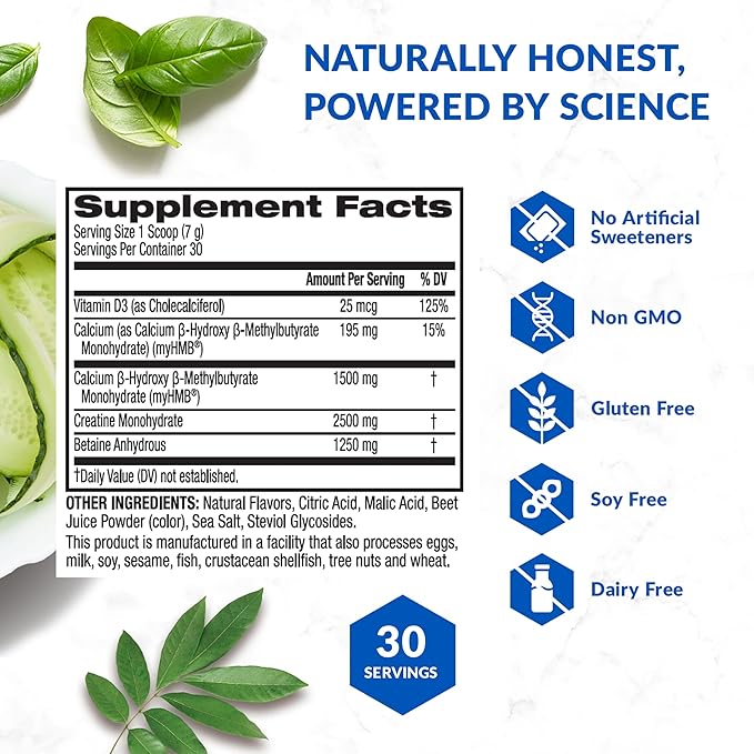BioTrust Ageless Muscle Builder - Creatine HMB Powder with Vitamin D3 &amp Betaine - Build &amp Preserve Naturally Declining Muscle Mass &amp Strength - Fruit Punch 60 Servings