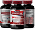Creatine Capsules - Creatine Tri Phase - Creatine Monohydrate Improves Short-Term Memory creatine for Muscle gain creatine Muscle Growth and Brain Improves anaerobic Capacity - 1 Bottle - 90 Tabs