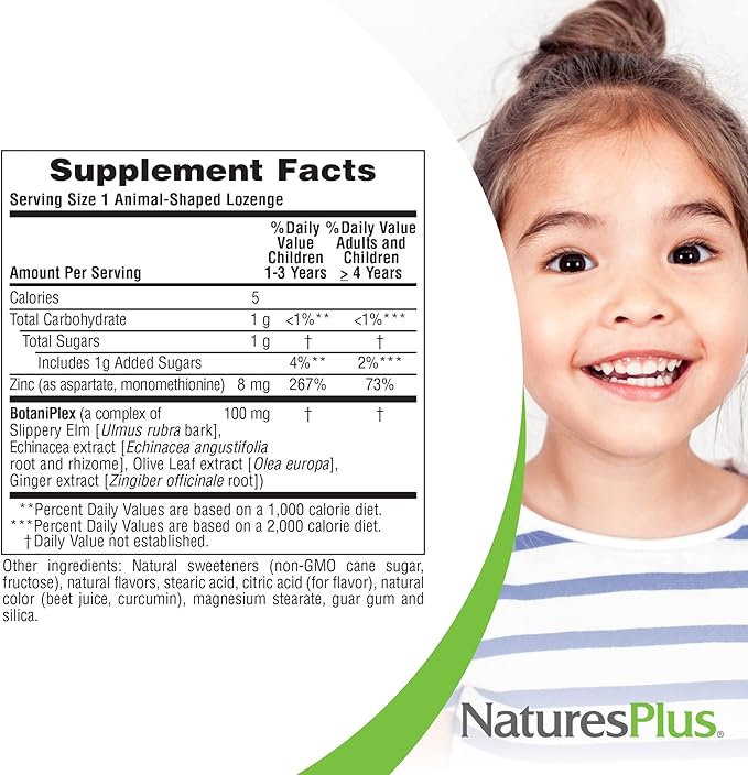 NaturesPlus Animal Parade KidZinc Tangerine Flavor - 90 Animal-Shaped Lozenges Pack of 2 - Organically Chelated Zinc - Vegan Gluten Free - 180 Total Servings