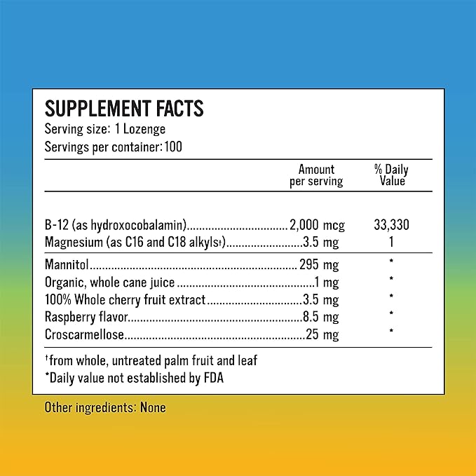 Alkaline for Life Rise Well Vitamin B12 - Vegan B12 - B12 Vitamins and Energy Supplements - Fast Acting B12 Sublingual 2000 mcg of B 12 Vitamin in Longer Lasting Form Than Methylcobalamin B12
