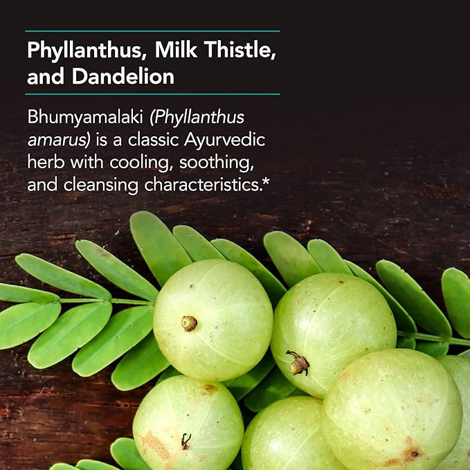 Nutricology Phyllantus Complex Supplement - Liver Health Support Milk Thistle Dandelion Detox Cleanse Vegetarian Capsules - 120 Count