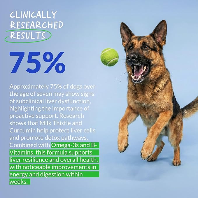 Milk Thistle for Dogs - 90 Soft Chews - Liver and Kidney Support - Hepatic Support with EPA &amp DHA - Detox - Liver Supplement for Dogs with Choline and L-Arginine.