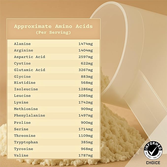 Anea Egg White Protein - Vanilla | 25g Protein | Cholesterol-Free | 5.2g BCAA | Complete Amino Acid Profile | Dairy-Free Gluten-Free Soy-Free | Smooth Vanilla Flavor | Made in GMP Facility