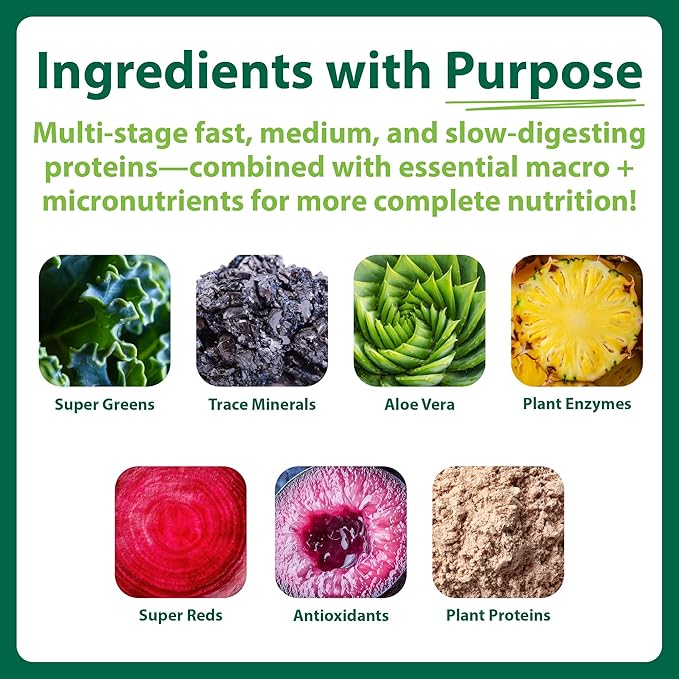 MacroLife Naturals MacroMeal Vegan Protein Powder Superfood Greens Probiotics + Fiber Immune Energy Digestive Daily Essentials for Women &amp Men Gluten-Free - (15 Servings) (15 Servings Vanilla)