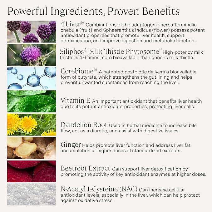 Stonehenge Health Dynamic Liver – Siliphos Milk Thistle Formula – Liver Support &amp Antioxidant Support Gut-Liver Axis Selenium Zinc Vitamin E Ginger Beetroot Extract Non-GMO 60 Veg Caps