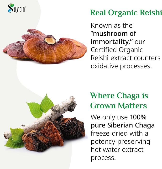 Sayan Siberian Chaga and Organic Reishi Mushroom Extract Supplement – 90 Capsules/440mg Each - Wild-Harvested Antioxidant Blend for Immune System Support + Natural Energy Boost Non-GMO Gluten Free