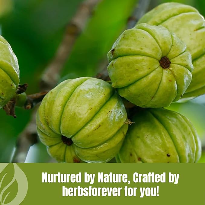 Herbsforever Garcinia Cambogia Powder Support Active &amp Energetic Body 230 GMS (Pack of 2)