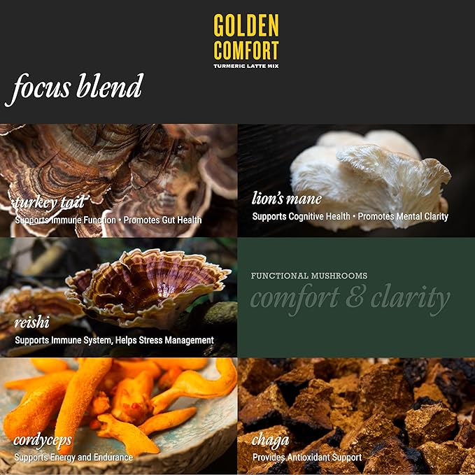 REFLUX GOURMET Golden Comfort Focus Blend–Natural Reflux Relief &amp Cognitive Boost–Turmeric Latte with Lion’s Mane Turkey Tail Red Reishi Chaga and Cordyceps–Max Absorption Curcuminoids–14 ct