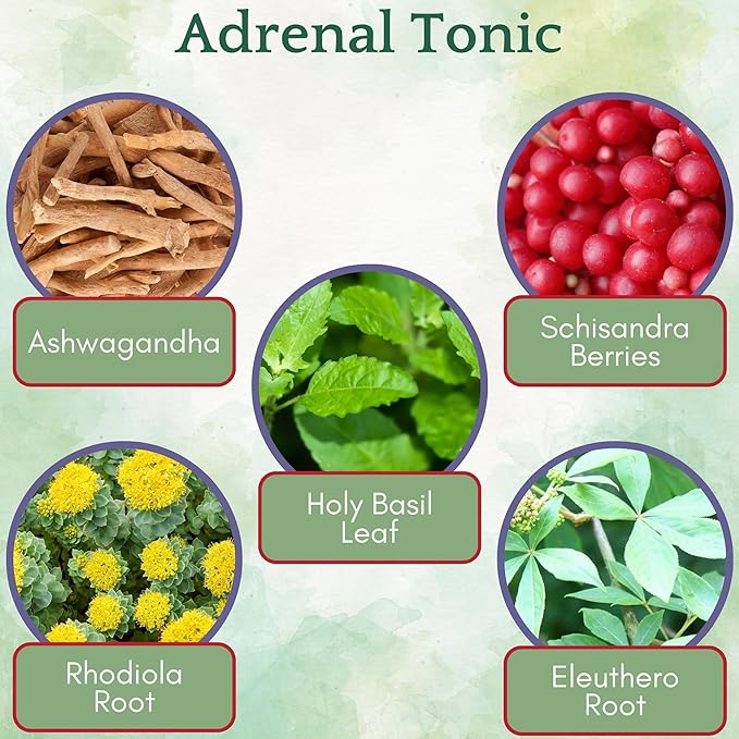 Herb Lore Organic Adrenal Tonic Tincture - Herbal Adrenal Support Supplement - Adaptogen Drops with Ashwagandha Rhodiola Eleuthero Holy Basil and Schisandra - Alcohol Free - Liquid - 4 Fl Oz